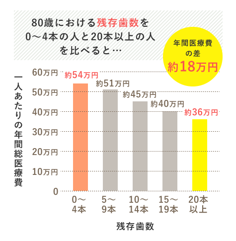 80歳における残存歯数を0〜4本の人と20本以上の人を比べると…、年間医療費の差が約18万円も